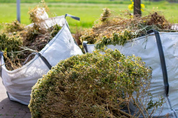 Best Commercial Cleanout Services  in Elsberry, MO