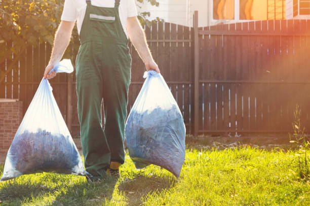 Best Electronics Removal Services  in Elsberry, MO